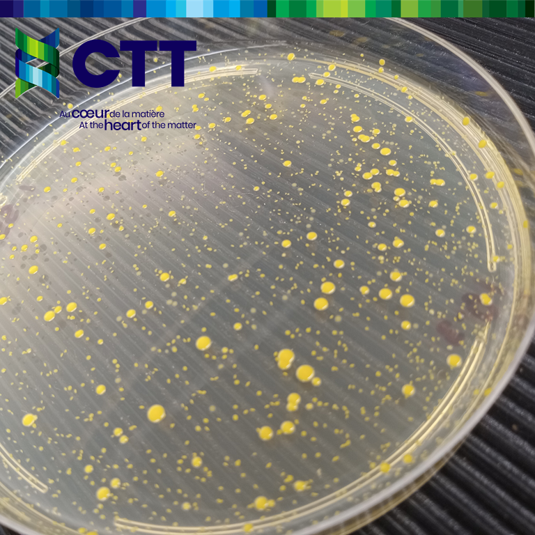 Antibacterial activity on textile fabric