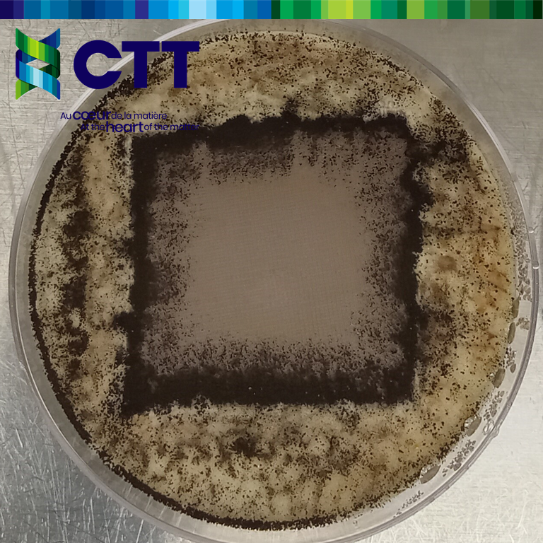 Fungal growth on textile material